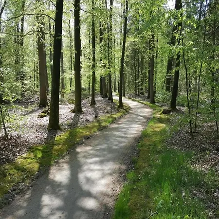 In Lower Saxony With Garden Semesterbostad