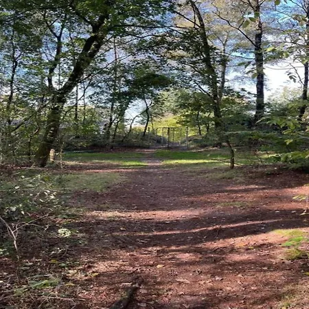 In Lower Saxony With Garden Semesterbostad