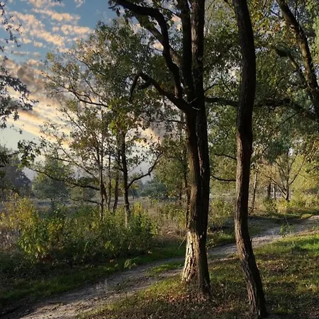 Semesterbostad In Lower Saxony With Garden Uelsen